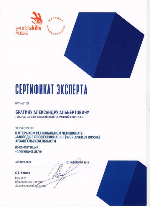 Сертификат эксперта II Открытого регионального чемпионата Молодые профессионалы Архангельской области Брагину А.А.