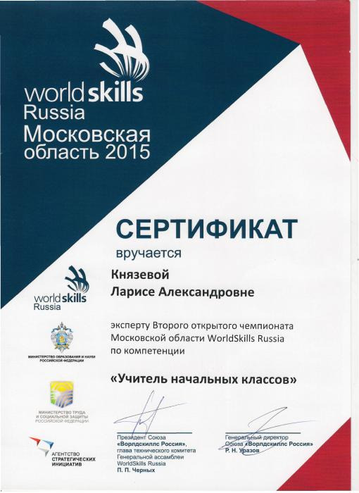 World Skills Russia 2015 Князева Л.А.