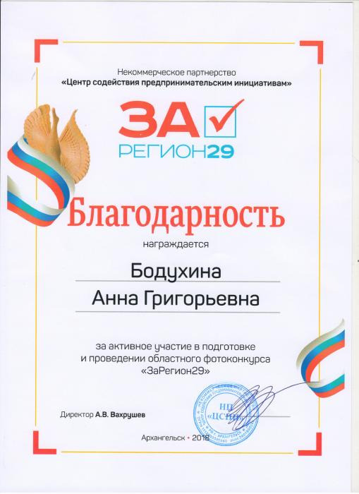 Благодарность А.Г.Бодухиной за участие и проведение фотоконкурса ЗаРегион29